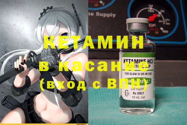 ГАЛЛЮЦИНОГЕННЫЕ ГРИБЫ Гусь-Хрустальный