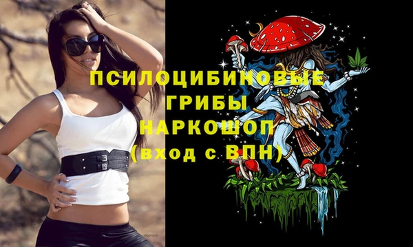 мяу мяу мука Алзамай