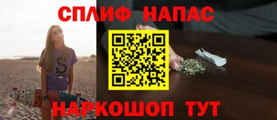 сатива Ярославль