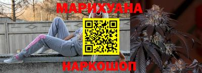 сатива Ярославль