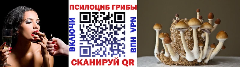 хочу   Похвистнево  Псилоцибиновые грибы Magic Shrooms 